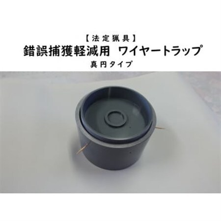 錯誤捕獲軽減用ワイヤートラップ 真円