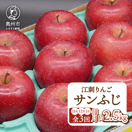 奥州市りんご定期便 ・3回(11月~翌年1月)江刺りんご「サンふじ」 約2.5kg(8-10玉) [AQ096]