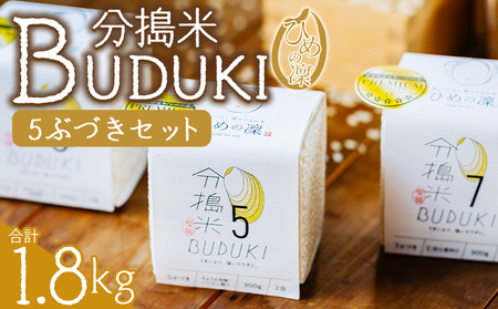 ＜分搗米「BUDUKI」ひめの凜 「5ぶづき」2合入り×6個（1.8kg）＞ ひめのりん 分づき米 ぶづき米 ぶずき米 お米 コメ こめ 選べる 5分づき 玄米 精米 ご飯 もとき農園 愛媛県 西予市【常温】『令和7年11月中旬より順次発送予定』UMK0005