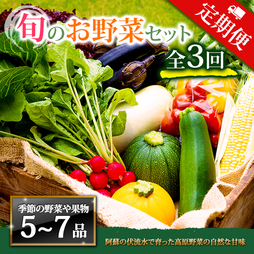[定期便 全3回]畑から直送 季節のお野菜セット Mサイズ