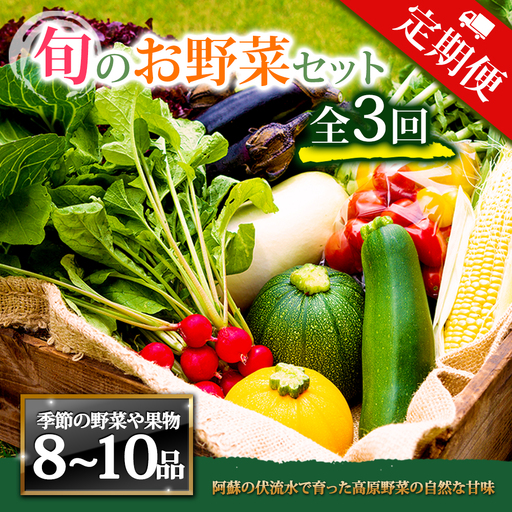 【定期便 全3回】畑から直送  季節のお野菜セット Lサイズ 