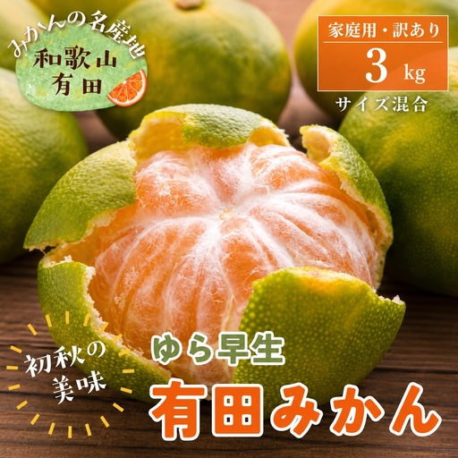 【初秋の美味】ご家庭用ゆら早生有田みかん　約3kg+200g(傷み補償分)【サイズ混合】【2026年10月中旬～11月上旬頃に順次発送予定】【ard236A】