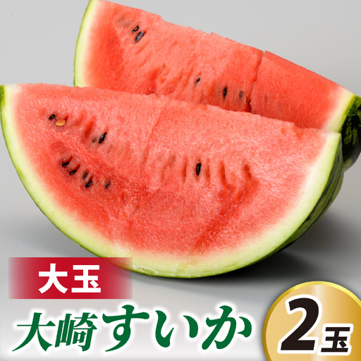 [2027年収穫分 先行予約]大崎すいか 1箱(大2玉入り)| すいか 甘い