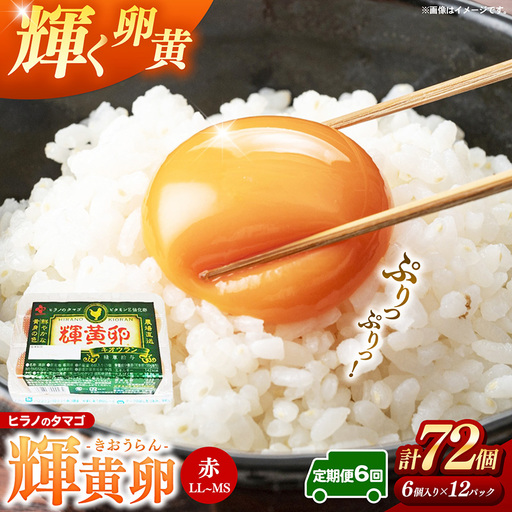 【定期便6回】ヒラノのタマゴ 輝黄卵（きおうらん）72個（6個入り×12パック） 【 卵 たまご タマゴ ブランド卵 国産 新鮮 直送 定期便 6回 6ヵ月 輝黄卵 きおうらん 朝ごはん 卵かけごはん 福岡県 筑前町 AJ011】【202609】
