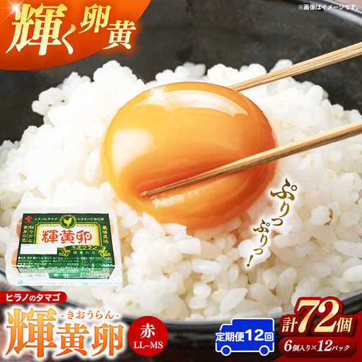 【定期便12回】ヒラノのタマゴ 輝黄卵（きおうらん）72個（6個入り×12パック） 【 卵 たまご タマゴ ブランド卵 国産 新鮮 直送 定期便 12回 12ヵ月 輝黄卵 きおうらん 朝ごはん 卵かけごはん 福岡県 筑前町 AJ012】【202609】