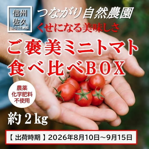 完熟ミニトマト 約2kg 『ご褒美ミニトマト食べ比べBOX』〈2026年8月10日～9月15日出荷／北海道・沖縄・離島は配送不可〉 農薬・化学肥料不使用 トマト 高原野菜 無農薬 産地直送 新鮮 旬彩 期間限定 長野県 信州
