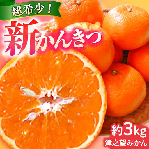 【2027年1月先行予約】津之望 約3kg[ECL008] 新柑橘 新しい柑橘 みかん