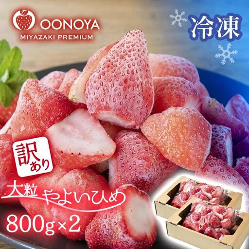 【訳あり・個数限定】苺大野屋 冷凍完熟苺やよいひめ800g×2 宮崎県西都市産＜1.2-67＞