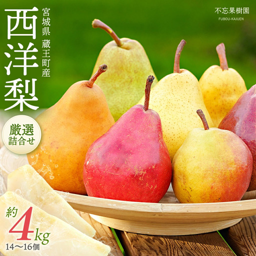 [先行予約]厳選 西洋梨詰合せ約4kg(14個〜16個) 蔵王産 [04301-0150]