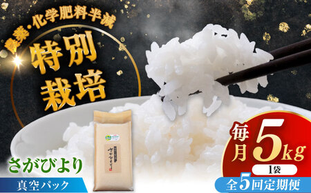 【全5回定期便】令和8年産 ななしま家 さがびより 5kg /  白米 特別栽培 /佐賀県 / 有限会社七島農産 [41AHAC005]