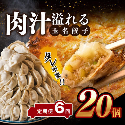 【定期便6回】玉名餃子 20個