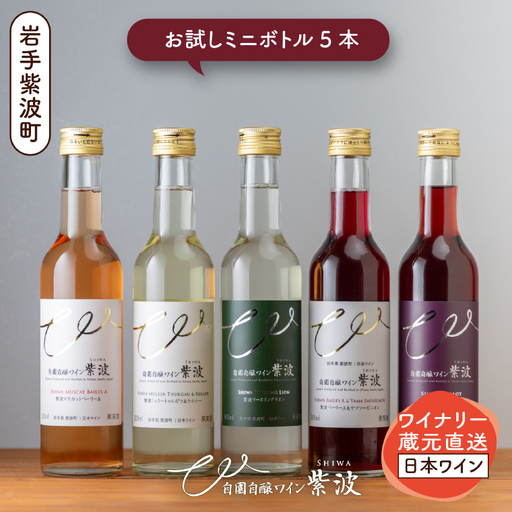 ワイン ミニボトル ワイン 飲み比べ５本セット AL104