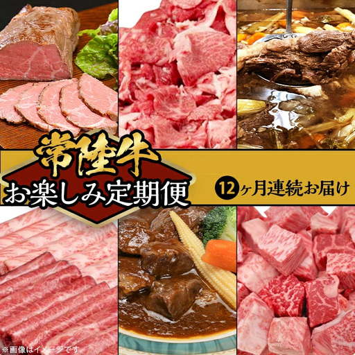 定期便 全12回 常陸牛 お楽しみ定期便