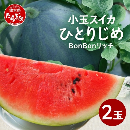 【8月上旬～発送】小玉スイカ ひとりじめ BonBonリッチ 2玉 (1玉1kg?2kg)  082-0701
