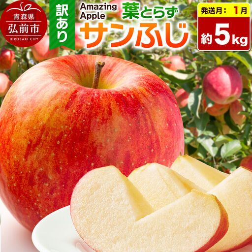 【27年1月発送】りんご 葉とらずサンふじ【訳あり】家庭用 約5kg 先行受付