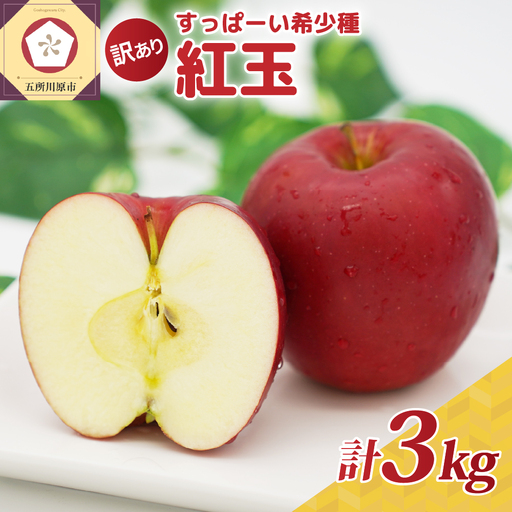 紅玉　訳あり りんご 約3kg 青森県産 りんご
