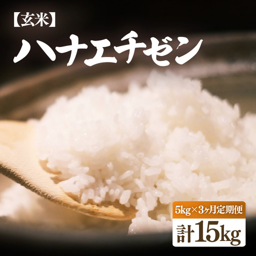[先行予約][令和8年産・新米]定期便 ≪3ヶ月連続お届け≫ ハナエチゼン 5kg × 3回(計15kg)[2026年10月中旬以降順次発送][玄米] [e26-c002_02]