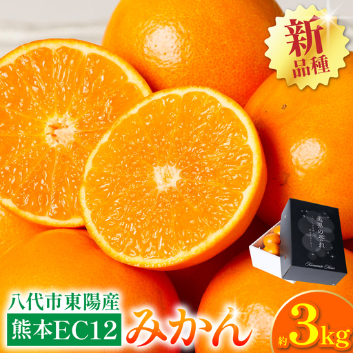 【先行予約】 みかん 八代市東陽町産の 「熊本EC12みかん」 約3kg みかん 【2026年12月上旬より順次発送】
