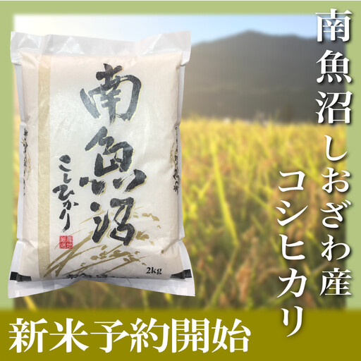 【令和8年産　新米予約】定期便／２kg×12ヶ月 生産者限定 南魚沼しおざわ産コシヒカリ【定期便 銘柄米 ブランド米 精米 こしひかり コシヒカリ 魚沼産 新潟米 ごはん】【2026年10月上旬から1ヶ月以内に順次発送予定】