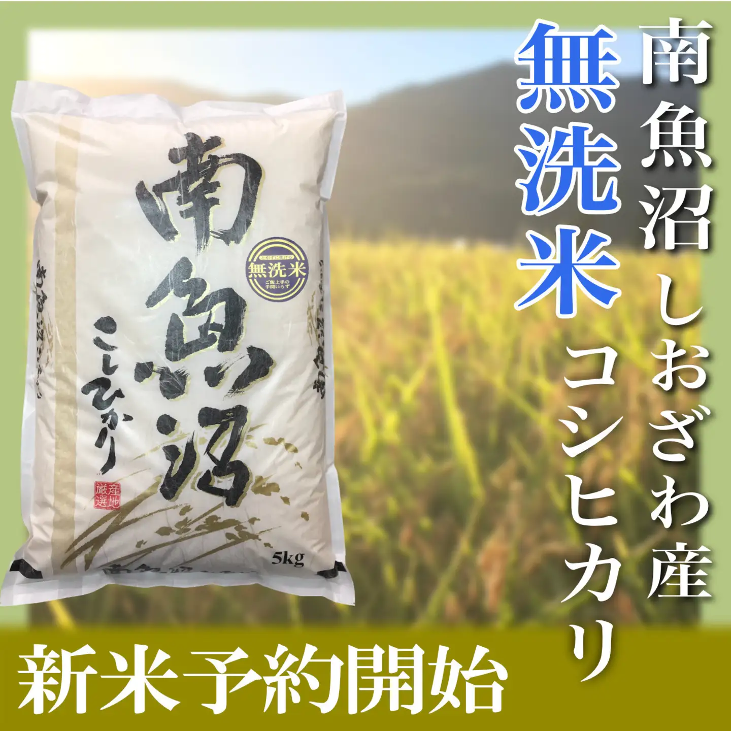 �ԗ�i�摜