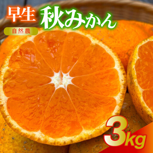 訳あり 早生みかん 早生 約3kg 秋 みかん