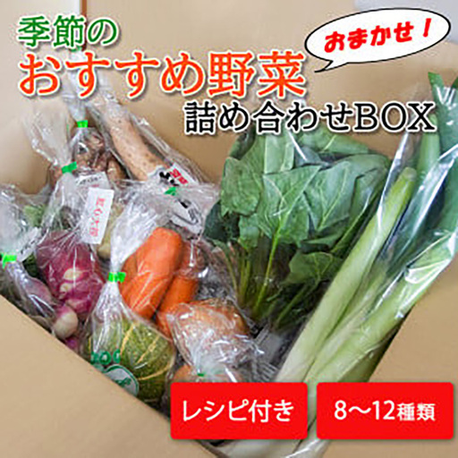 季節のおすすめ野菜おまかせ詰め合わせBOX 8種〜12種類 通常サイズ[16101]
