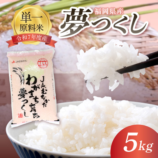 福岡県ブランド米「夢つくし」5kg【ほたるの里】_HA1790