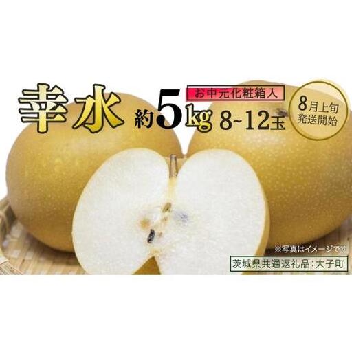【 お中元 化粧箱入り】 幸水 約5kg (8～12玉)【2026年8月上旬発送開始】(茨城県共通返礼品：大子町)