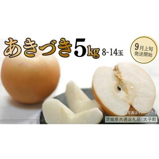 あきづき 約5kg (8〜14個)[2026年9月上旬発送開始](茨城県共通返礼品:大子町)