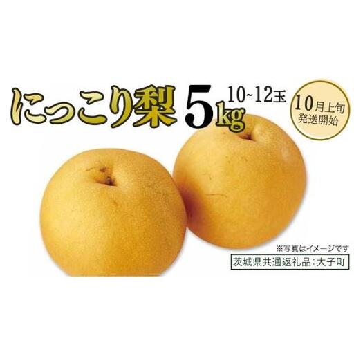 にっこり梨 約5kg (10～12玉)【2026年10月上旬発送開始】(茨城県共通返礼品：大子町)