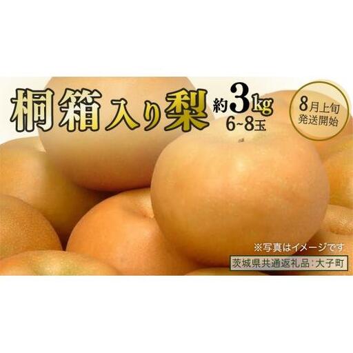 【桐箱入り】梨 約3kg (6～8玉) 【2026年8月上旬発送開始】(茨城県共通返礼品：大子町)