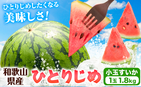 紀州和歌山産 小玉スイカ 「ひとりじめ」 1玉