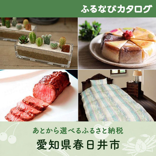 [有効期限なし!後からゆっくり特産品を選べる]愛知県春日井市カタログポイント