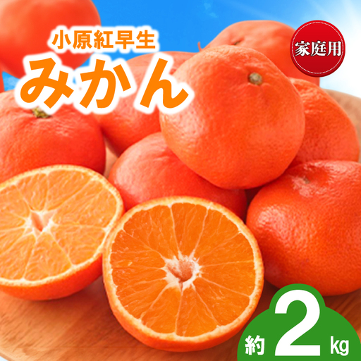 先行予約 訳あり みかん 蜜柑 約2kg 小原紅早生 小原紅早生みかん 柑橘 オレンジ 家庭用 11月下旬〜12月下旬 配送 香川県 丸亀市