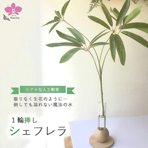 倒してもこぼれないお水 癒しのグリーン「シェフレラ1輪挿し」光触媒｜観葉アレンジシュフレラ