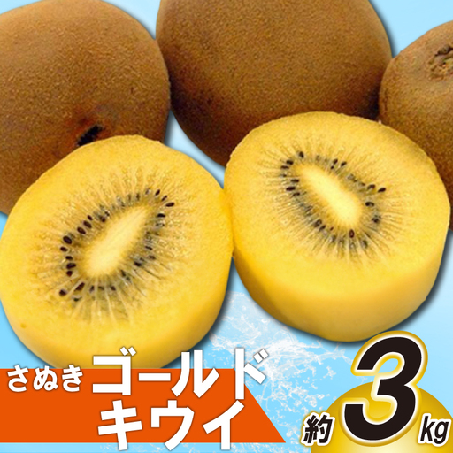 先行予約 さぬきゴールドキウイ 約3kg キウイ キウイ