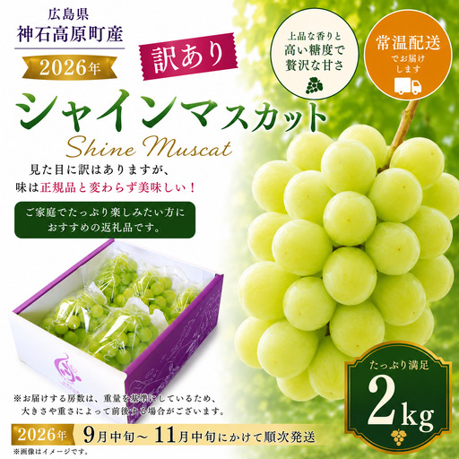 【2026年先行予約】シャインマスカット 約2kg 訳あり 家庭用 大粒 高糖度 種なし ぶどう 葡萄 広島県 神石高原町産