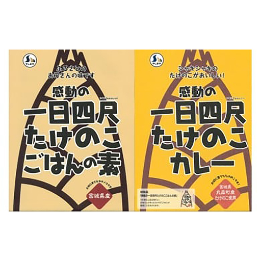 【丸森町特産】 たけのこカレー3個とたけのこご飯のもと2個【08110】