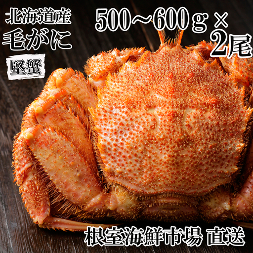 根室海鮮市場＜直送＞ボイル毛がに500～600g×2尾(堅蟹) F-28030