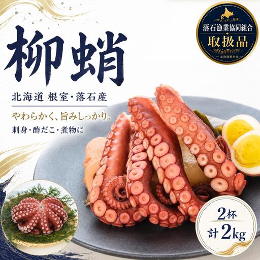 【北海道根室産】柳蛸ボイル2杯(計2kg)[8月上旬以降発送] B-20012