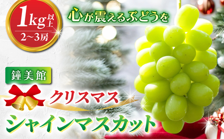 [先行受付2026年発送]標高750mで育ったクリスマスシャインマスカット1キロ以上(2〜3房) |鐘美館 ※2026年12月22日発送