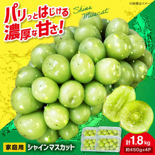 シャインマスカット 計1.8kg [APCR001] シャインマスカット