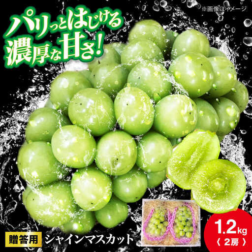 シャインマスカット 約1.2kg [APCR003] シャインマスカット