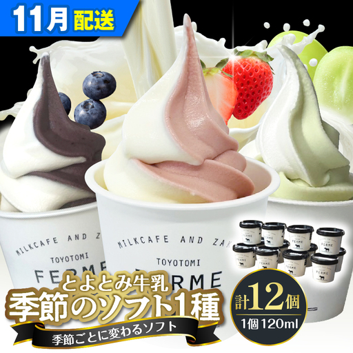 【11月配送】とよとみ牛乳ソフトクリーム 季節のミックス1種類 12個