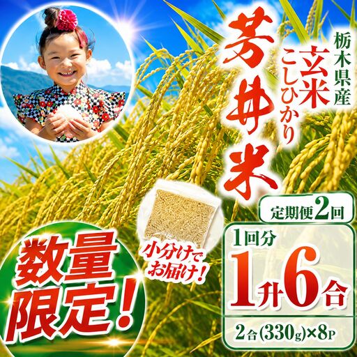 【ふるなび限定】【定期2回】【数量限定】【令和8年度産】那珂川町産芳井米 玄米 330g（2合分）×8 | こしひかり 米 ごはん  ふっくら もちもち  ふるさと納税 那珂川町 栃木県