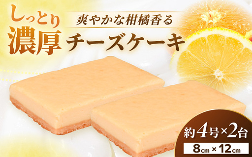 【2026年11月発送】濃厚スイーツ チーズケーキ スクエア（8cm×12㎝×2個セット）【デザート 菓子 お菓子 洋菓子 スイーツ おやつ クッキー生地 冷凍】 [e44-a014_11]