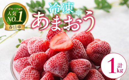 冷凍あまおう (計1kg) スピード発送 いちご イチゴ 苺 あまおう 冷凍いちご 冷凍イチゴ 国産 福岡県 果物 フルーツ アイス ジャム 冷凍フルーツ [離島配送不可][ksg1785][うるう農園]