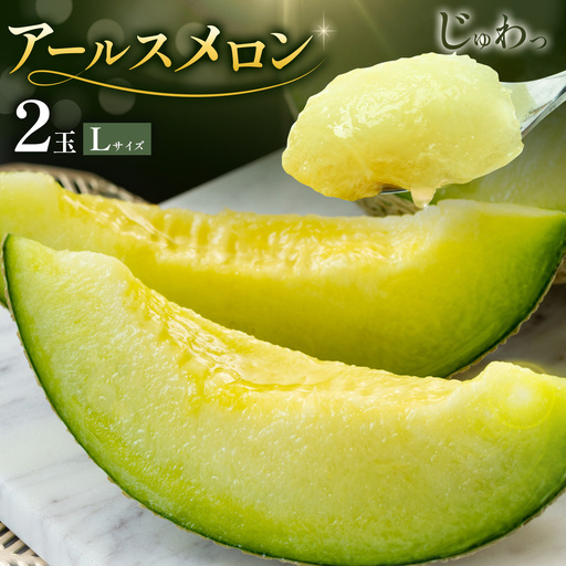 アールスメロン 2玉 Lサイズ メロン《9月上旬-12月上旬頃出荷》熊本県 菊池市 果物 フルーツ 青果物 菊池市産 熊本県産 九州産 国産 送料無料