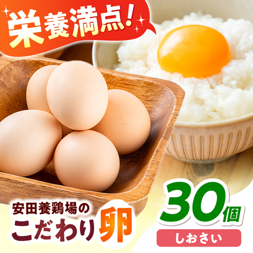 安田養鶏場の卵 しおさい 30個入り[AKHN001]卵