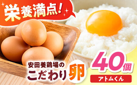 安田養鶏場の卵 アトムくん 40個入り [AKHN003] 産地直送卵